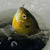 Mackinaw City Mackinaw City Winterfest Ice Fishing Tournament